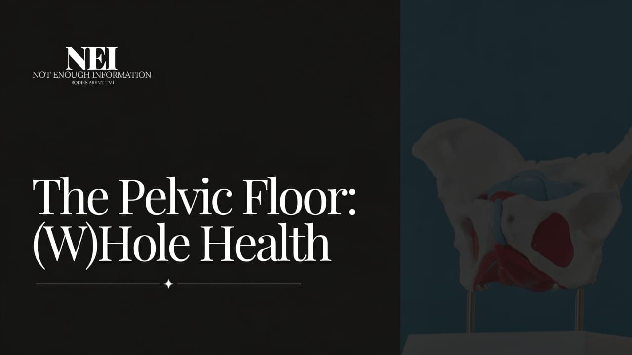 The Pelvic Floor: (W)hole Health